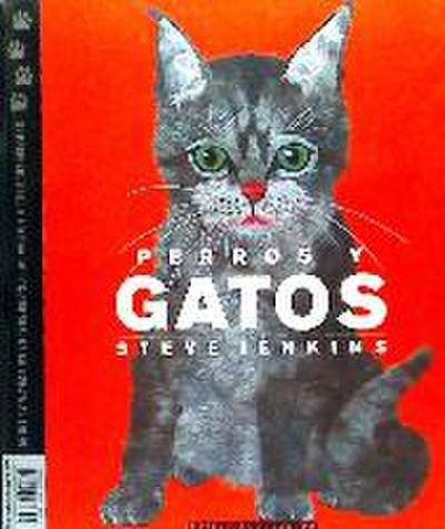 Perros y gatos