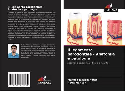 Il legamento parodontale - Anatomia e patologie