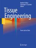 Tissue Engineering