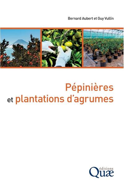 Pépinières et plantations d’agrumes
