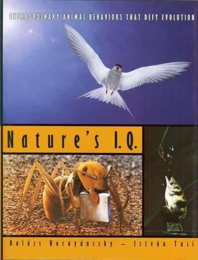 Tasi, I: Nature’s IQ