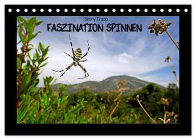 Faszination Spinnen (Tischkalender 2026 DIN A5 quer), CALVENDO Monatskalender