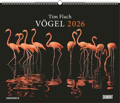 Tim Flach: Vögel 2026 - Posterkalender von DUMONT- Vogel-Porträts von Tim Flach - Poster-Format 50 x 70 cm