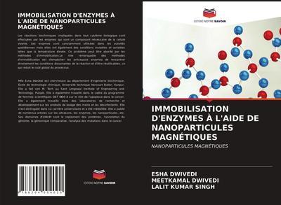 IMMOBILISATION D’ENZYMES À L’AIDE DE NANOPARTICULES MAGNÉTIQUES