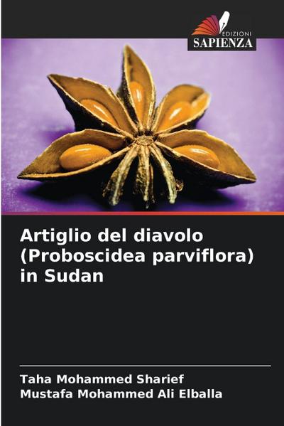 Artiglio del diavolo (Proboscidea parviflora) in Sudan
