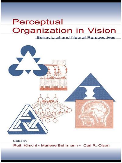 Perceptual Organization in Vision