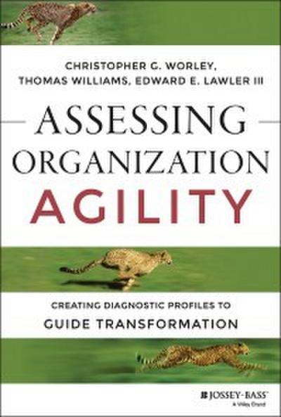 Assessing Organization Agility