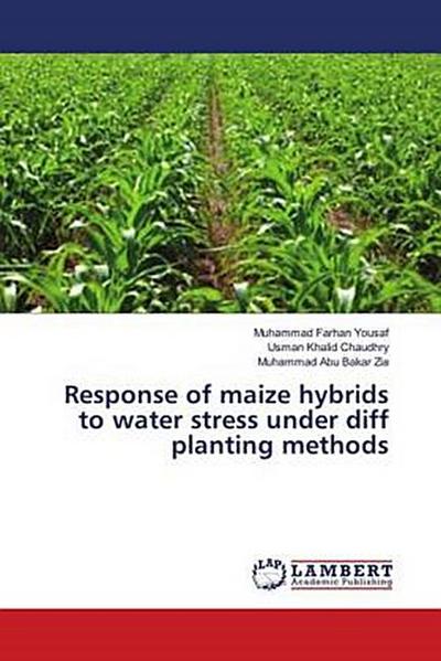Response of maize hybrids to water stress under diff planting methods