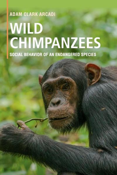Wild Chimpanzees