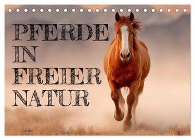 Pferde in freier Natur (Tischkalender 2026 DIN A5 quer), CALVENDO Monatskalender