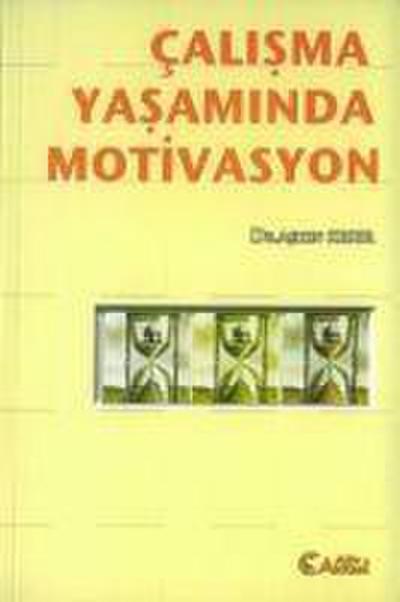 Calisma Yasaminda Motivasyon