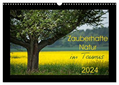 Zauberhafte Natur im Taunus (Wandkalender 2024 DIN A3 quer), CALVENDO Monatskalender