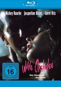 Wilde Orchidee