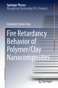 Fire Retardancy Behavior of Polymer/Clay Nanocompo
