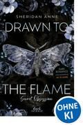 Secret Obsession (Band 1) - Drawn to the Flame