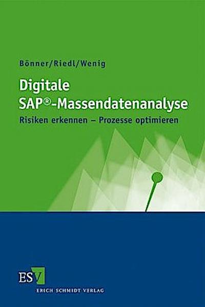 Digitale SAP®-Massendatenanalyse