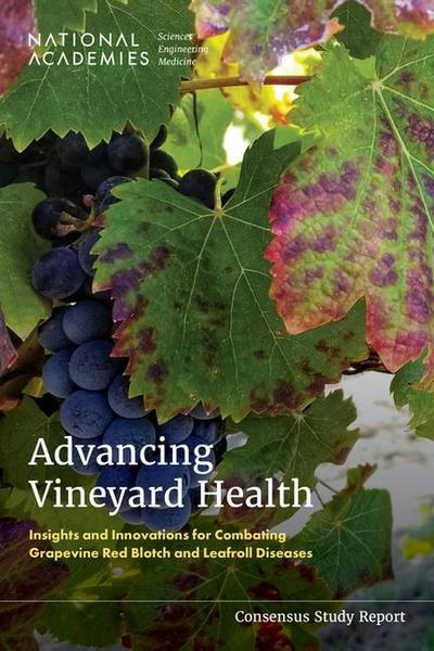 Advancing Vineyard Health