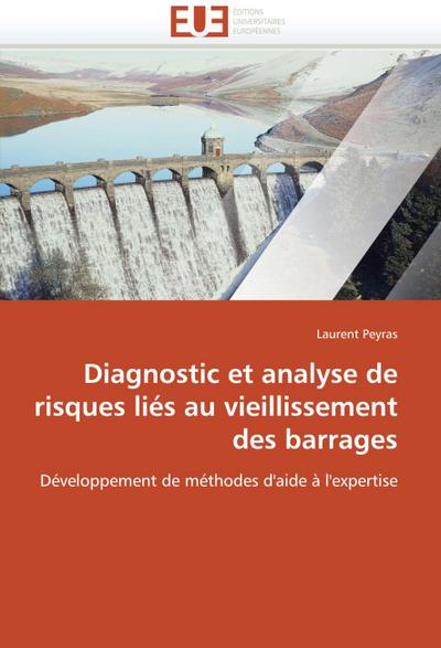 Diagnostic et analyse de risques liés au vieillissement des barrages