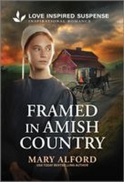 Framed in Amish Country
