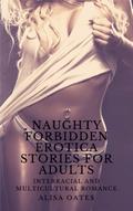 Naughty Forbidden Erotica Stories for Adults