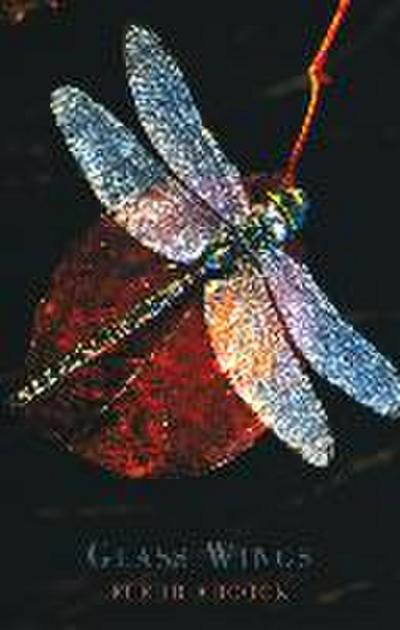 Glass Wings
