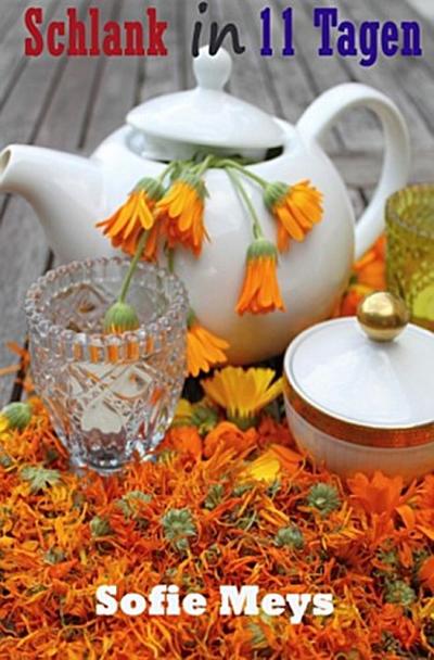 Schlank in 11 Tagen
