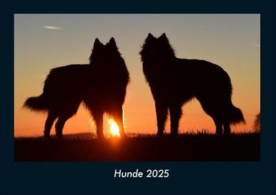 Hunde 2025 Fotokalender DIN A4
