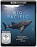 Big Pacific