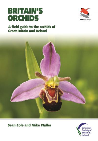 Britain’s Orchids