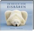 Eisbären