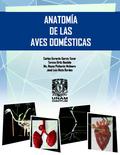 Anatomía de las aves domésticas