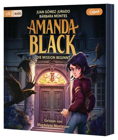 Amanda Black - Die Mission beginnt