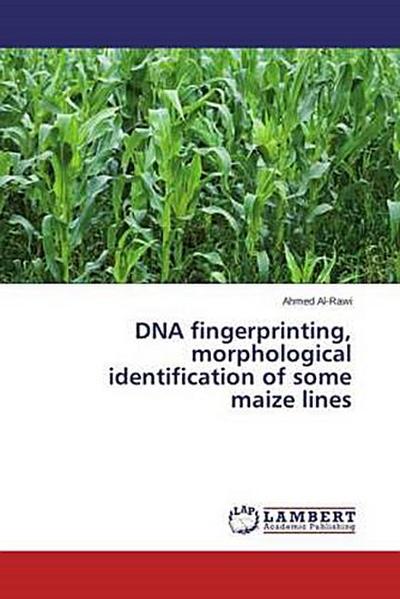 DNA fingerprinting, morphological identification of some maize lines