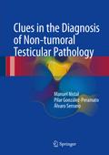 Clues in the Diagnosis of Non-tumoral Testicular P