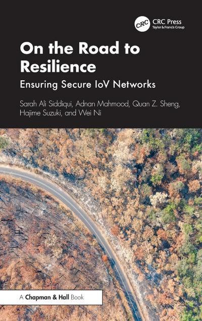 On the Road to Resilience