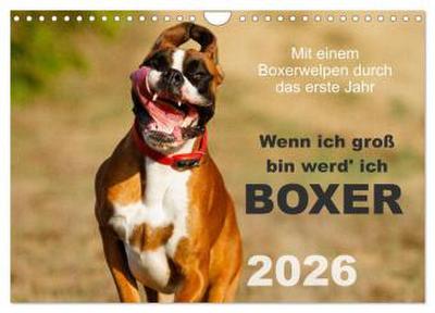Wenn ich groß bin werd’ ich Boxer (Wandkalender 2026 DIN A4 quer), CALVENDO Monatskalender