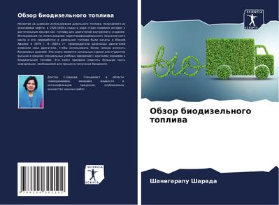 Obzor biodizel’nogo topliwa