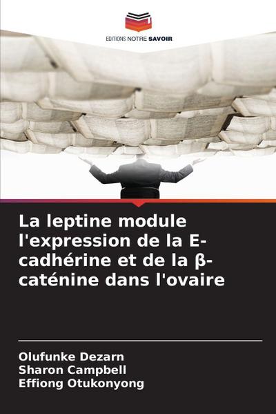 La leptine module l’expression de la E-cadhérine et de la ¿-caténine dans l’ovaire