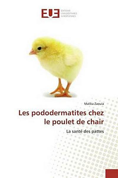 Les pododermatites chez le poulet de chair