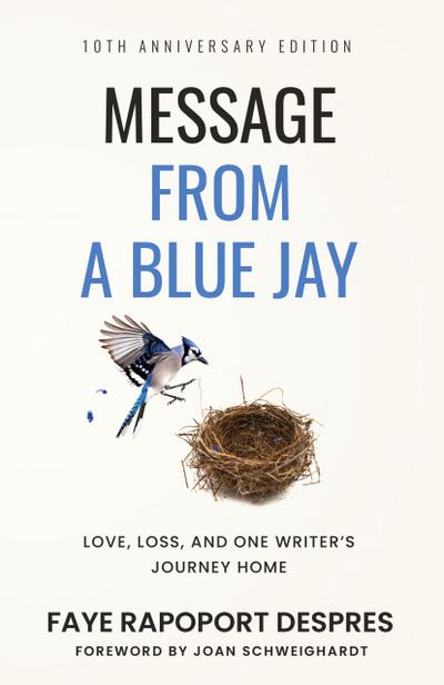 Message From a Blue Jay