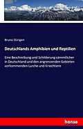 Deutschlands Amphibien und Reptilien: Eine Beschreibung und Schilderung sämmtlicher in Deutschland und den angrenzenden Gebieten vorkommenden Lurche und Kriechtiere
