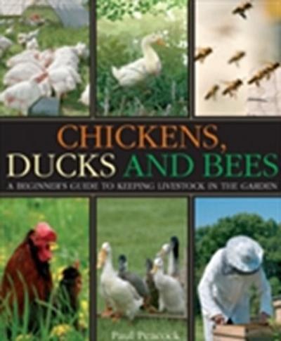 Chickens, Ducks and Bees
