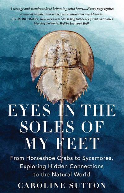 Eyes in the Soles of My Feet