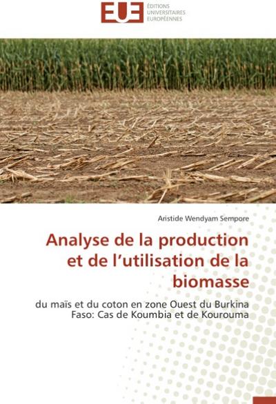 Analyse de la production et de l'utilisation de la  biomasse - Aristide Wendyam Sempore