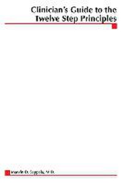 Clinician’s Guide to the 12 Step Principles