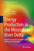Energy Production in the Mississippi River Delta