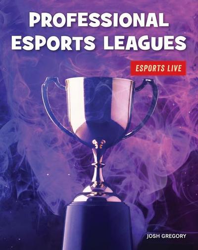 Professional Esports Leagues