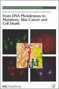 From DNA Photolesions to Mutations, Skin Cancer and Cell Death