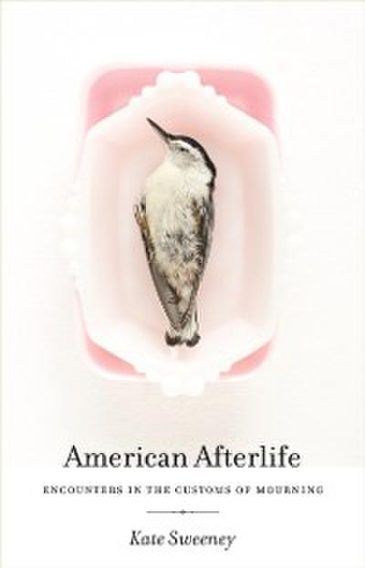 American Afterlife