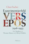 Experimentierfeld Versepos (1918-1933)